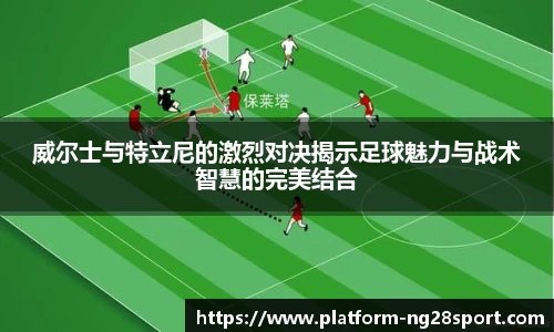 威尔士与特立尼的激烈对决揭示足球魅力与战术智慧的完美结合